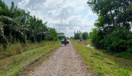 Permalink to Petani Desa Tanjung Seraiyan Berterimakasih Kepada Bupati Mesuji Juga Kepala Desa, Jalan Desa Sudah Diperbaiki 