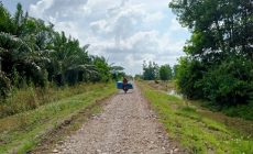 Permalink to Petani Desa Tanjung Seraiyan Berterimakasih Kepada Bupati Mesuji Juga Kepala Desa, Jalan Desa Sudah Diperbaiki 