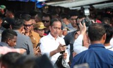 Permalink to Pj. Gubernur Samsudin Dampingi Kunjungan Presiden Jokowi ke Pasar Sentral Kota Bumi