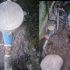 Permalink to Warga Desa Mulyoasri Resah Karena Air Bersih Tak Kunjung Mengalir