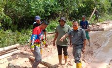 Permalink to Perbaikan Jalan Cengal, Muspika Inisiasi Perusahaan, Pemkab Lakukan Perawatan Rutin