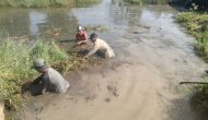 Permalink to Padat Karya Tunai (PKT) di Desa Sungai Cambai di Kerjakan Pembersihan Jalur Saluran Air diwilayah Desa Sungai Cambai