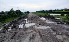 Permalink to Warga Desa Tanjung Mas Muliya, Desa Muara Mas, Desa Muara Asri, Juga Desa SP7,Mengharapkan Pemda Mesuji  Segera Perbaiki Jalan