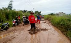 Permalink to Peduli Masyarakat, Kades Sungai Cambai Inisiatif Perbaiki Jalan Berlobang