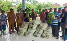 Permalink to Pemkab OKI Bantu Benih Padi Lahan Terdampak Banjir di Lempuing Jaya